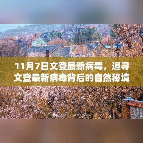 关于我们 第308页