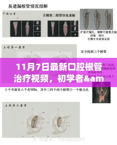 精品展示 第307页