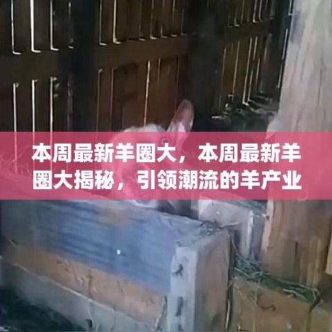 第1695页