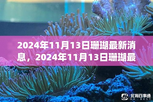 关于我们 第267页