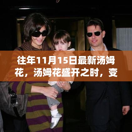 营销网络 第260页