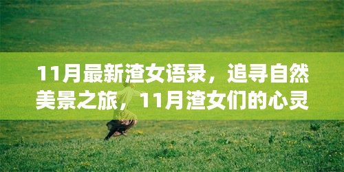 星星打烊 第17页