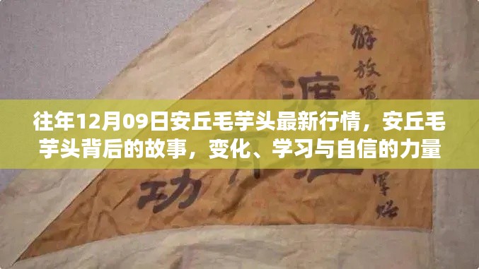 营销网络 第169页