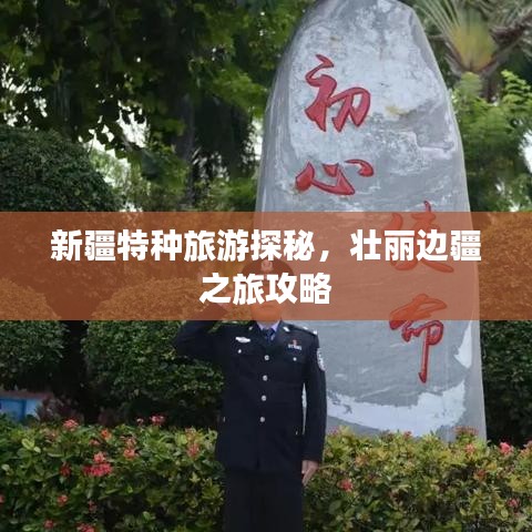 营销网络 第65页