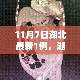 联系我们 第321页