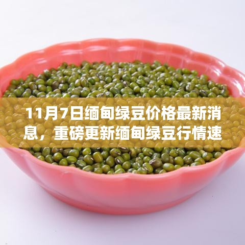 联系我们 第308页