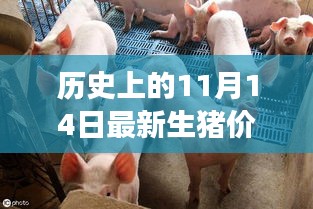 联系我们 第269页