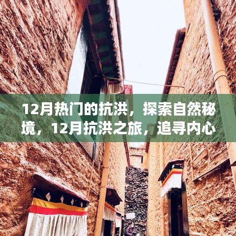 第1255页