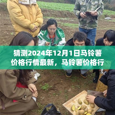 未来马铃薯市场趋势解析，预测马铃薯价格行情及影响因素展望（XXXX年预测报告）