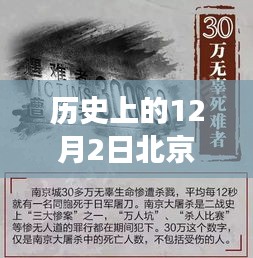 第1195页