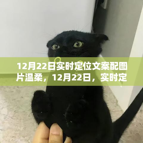 精品展示 第153页