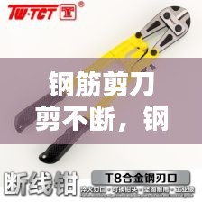 关于我们 第112页