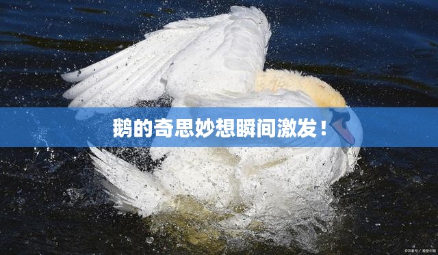 在线留言 第88页