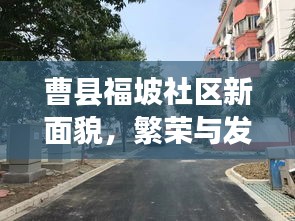 联系我们 第74页