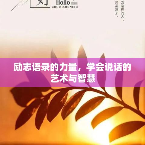 联系我们 第41页