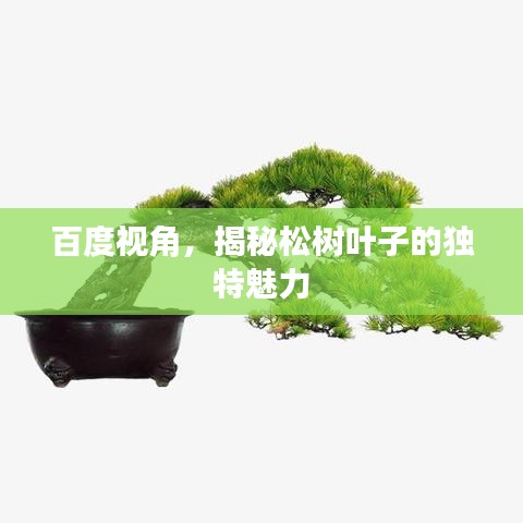 精品展示 第32页