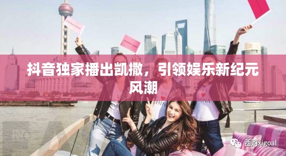 关于我们 第31页