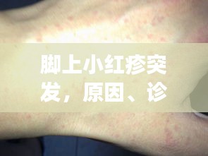 精品展示 第18页