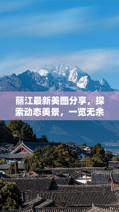 联系我们 第14页