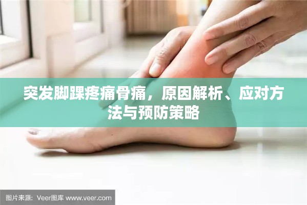 关于我们 第9页