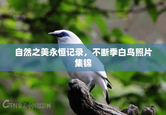 联系我们 第7页