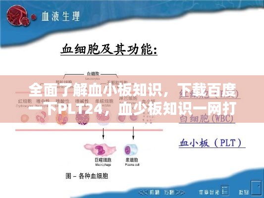 张弓拔弩