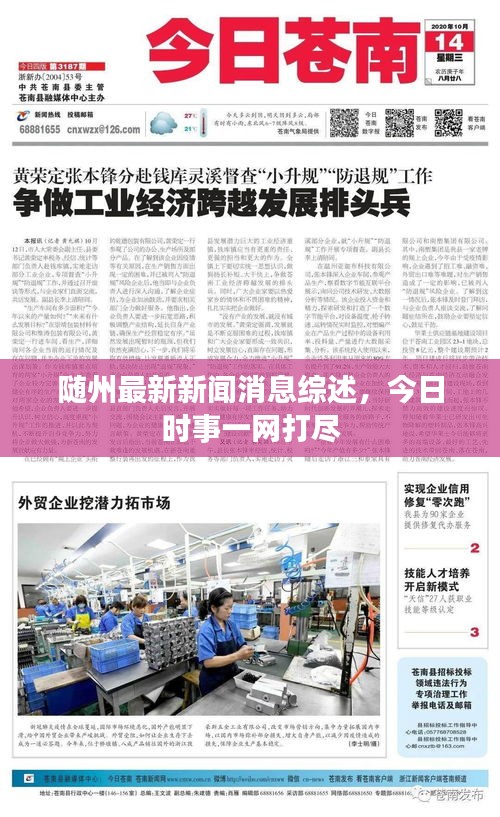 随州最新新闻消息综述，今日时事一网打尽