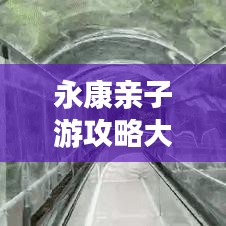 永康亲子游攻略大全，玩转亲子游，尽享美好时光！