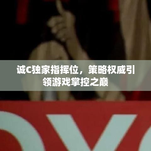 诚C独家指挥位，策略权威引领游戏掌控之巅