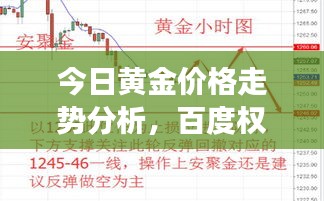 今日黄金价格走势分析，百度权威数据解读