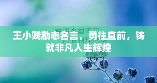王小贱励志名言，勇往直前，铸就非凡人生辉煌