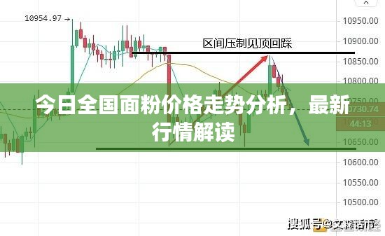 凤凰于飞